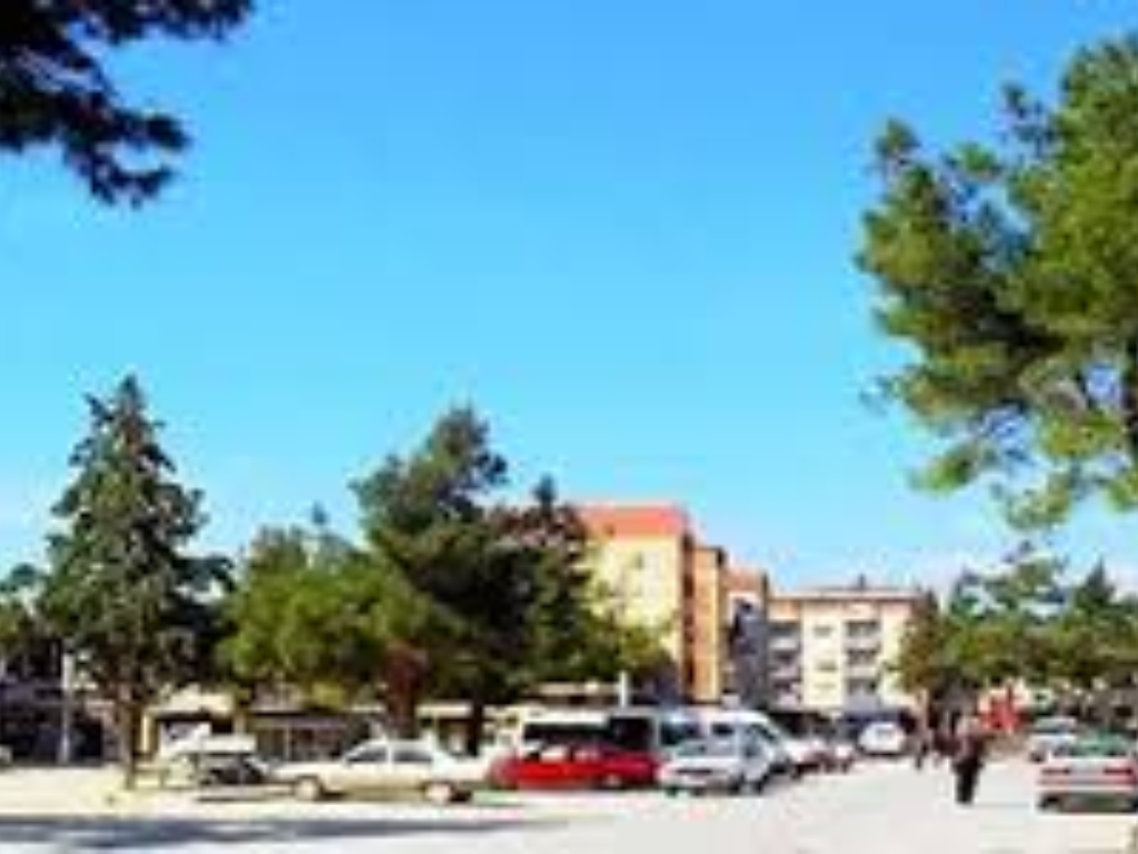 Bozkurt Araç Kiralama – Rentone ile Doğal Yaşam ve Ulaşım Özgürlüğü