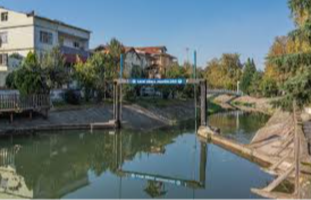 Sakarya Adapazarı Araç Kiralama