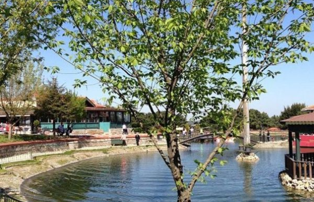 Dudullu Araç Kiralama