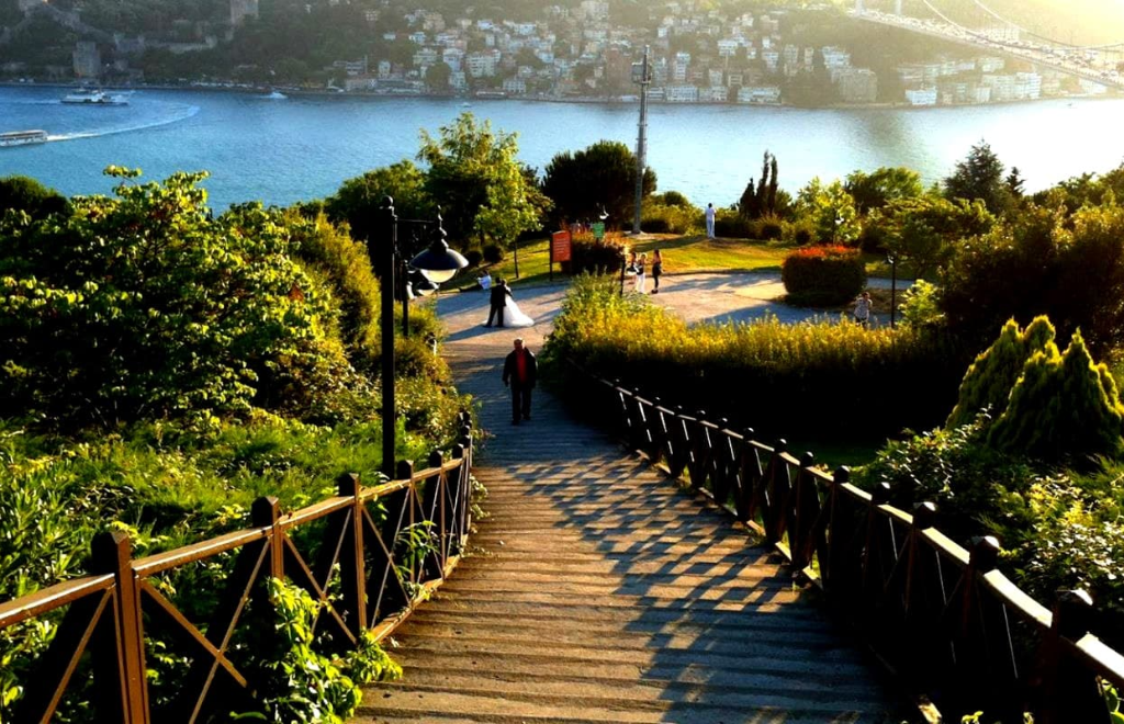 Kavacık Araç Kiralama