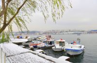 Büyükçekmece Araç Kiralama